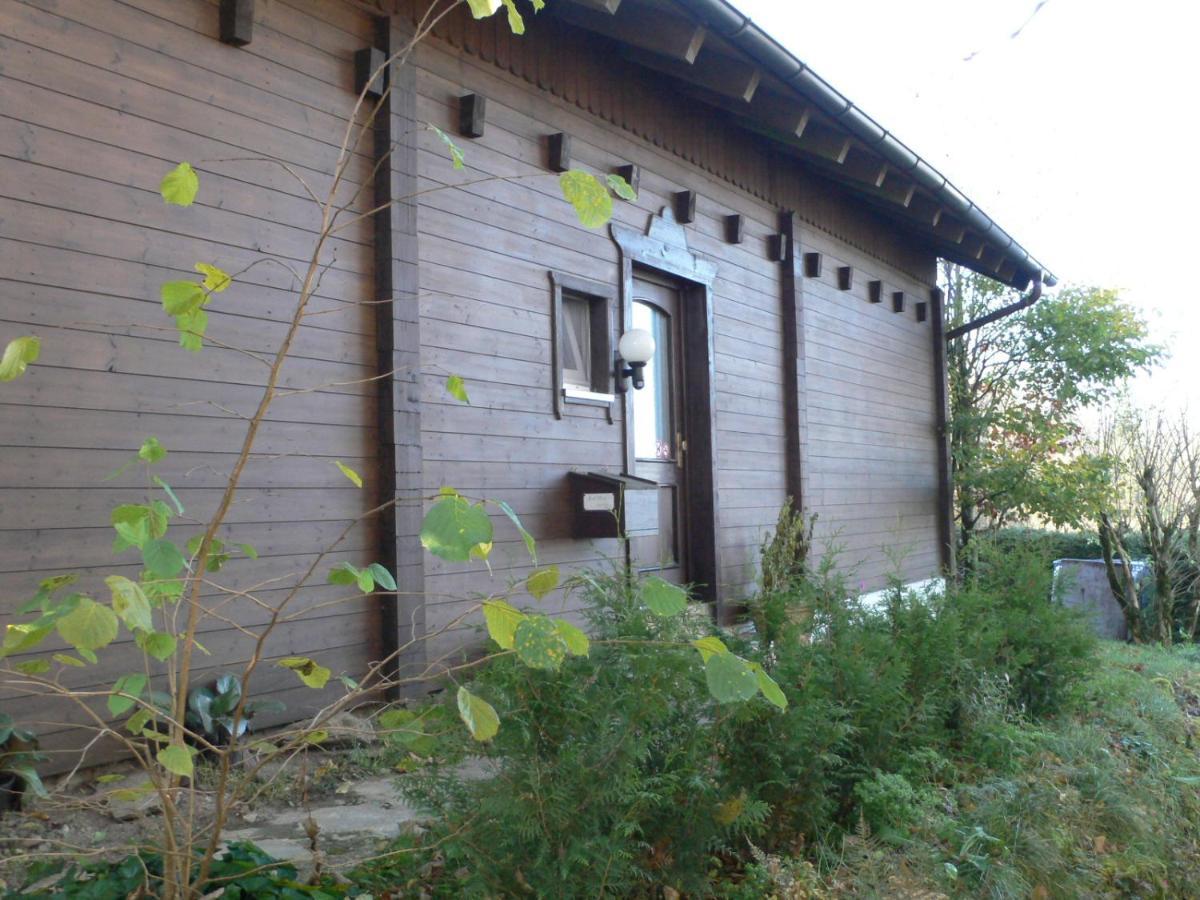 Ferienwohnungen Waldblick Waldmunchen Bagian luar foto