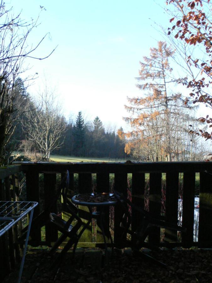 Ferienwohnungen Waldblick Waldmunchen Bagian luar foto