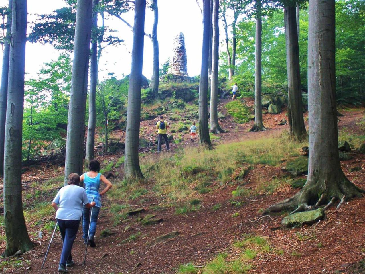 Ferienwohnungen Waldblick Waldmunchen Bagian luar foto
