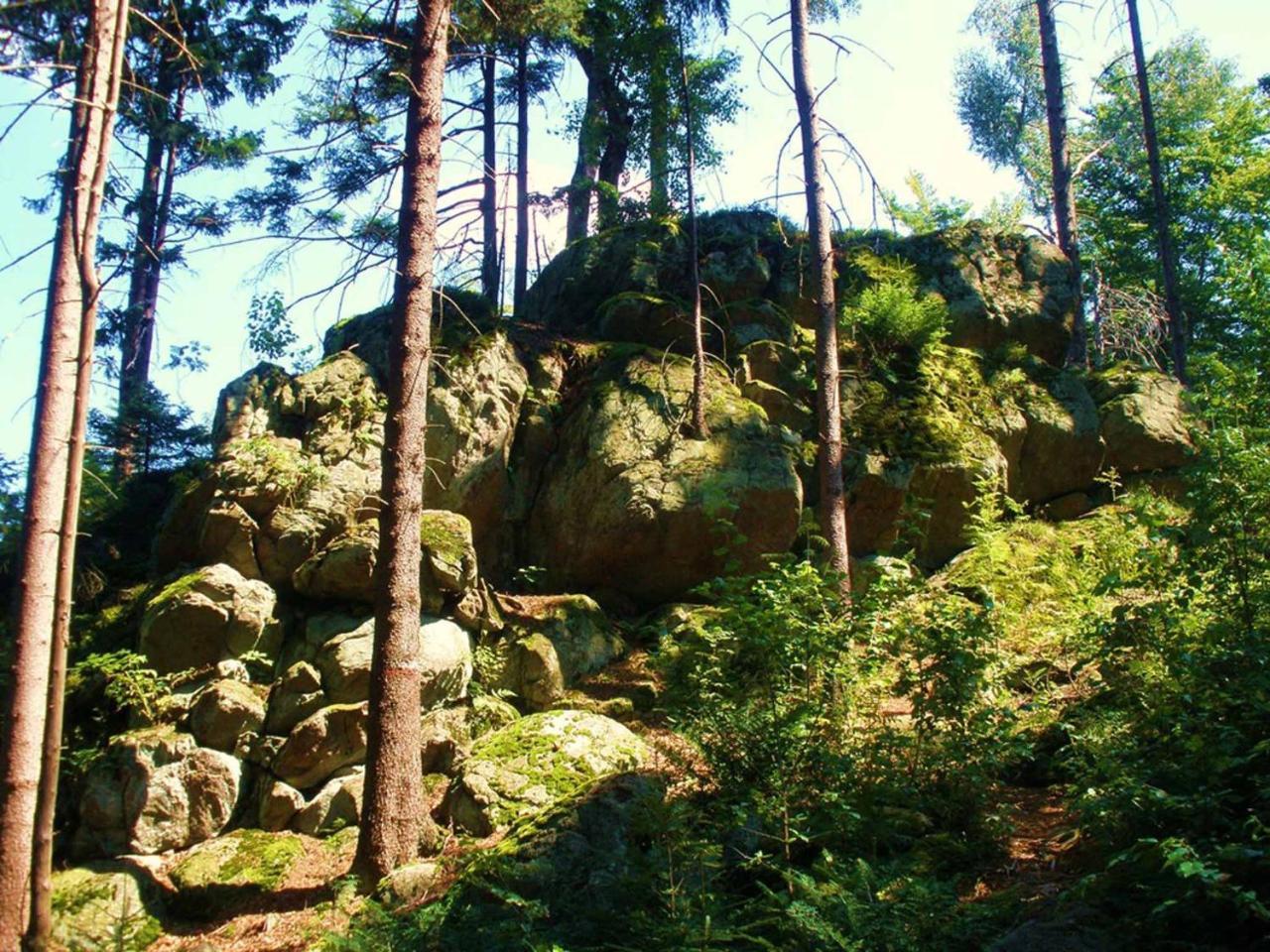 Ferienwohnungen Waldblick Waldmunchen Bagian luar foto