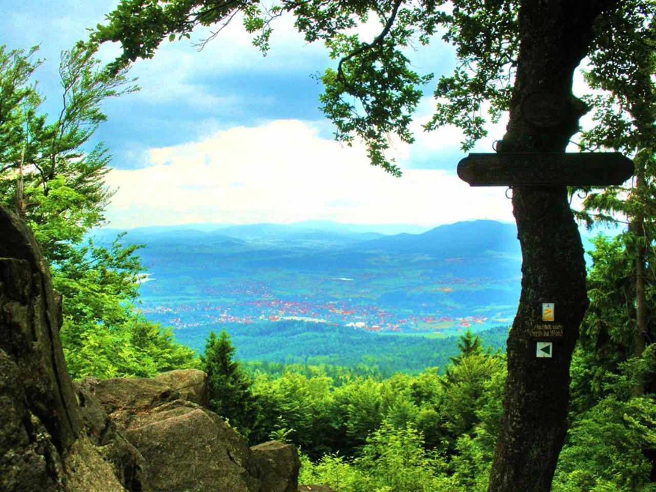 Ferienwohnungen Waldblick Waldmunchen Bagian luar foto