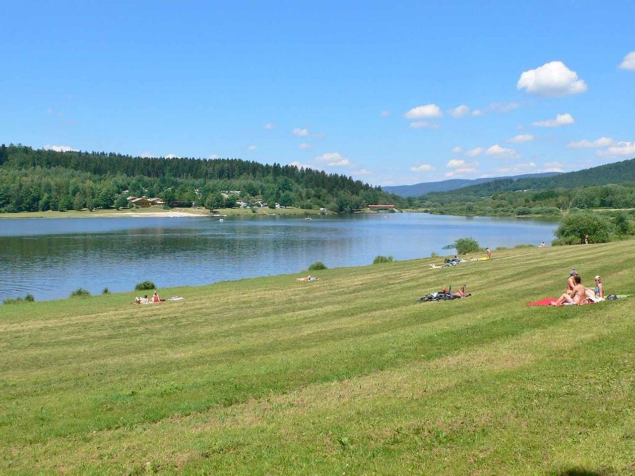 Ferienwohnungen Waldblick Waldmunchen Bagian luar foto
