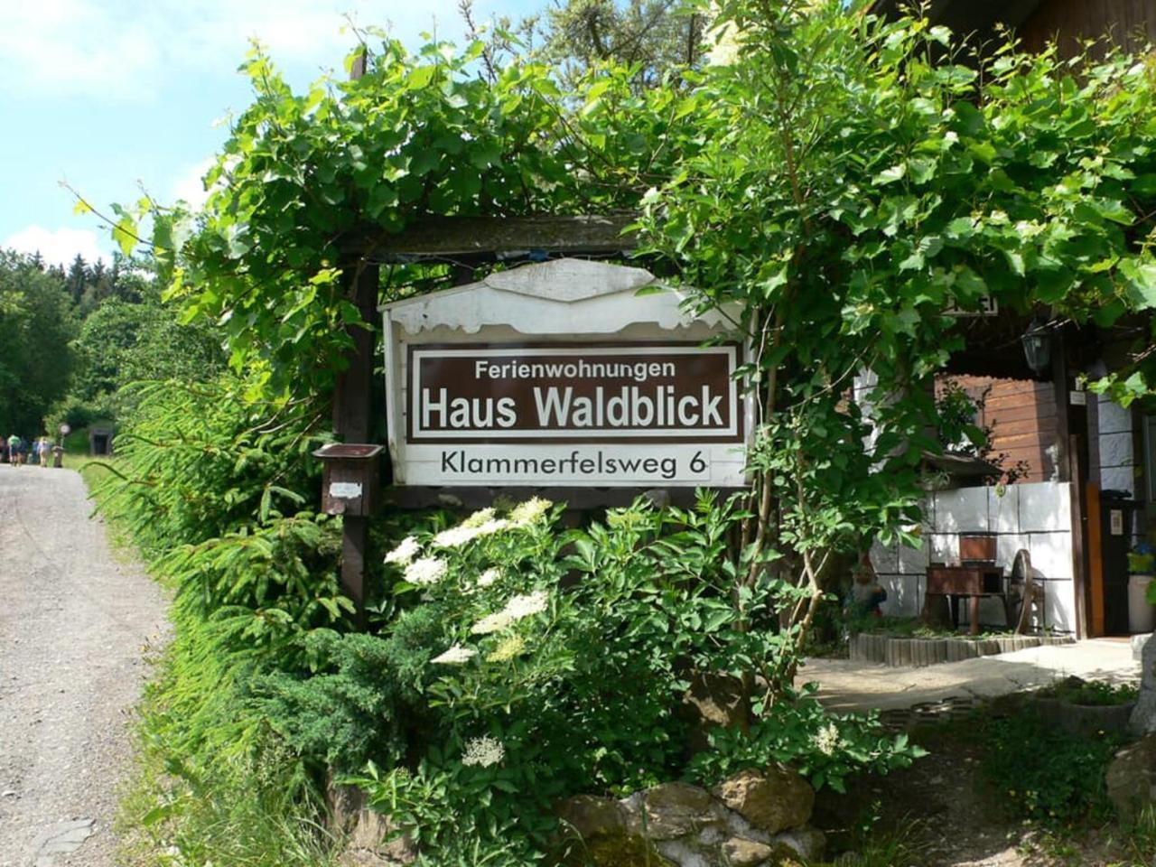 Ferienwohnungen Waldblick Waldmunchen Bagian luar foto